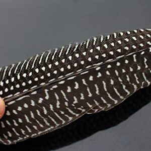 Federn zum Fliegenbinden, 12 Stück, Nadelspitze, Edelstahl, Haken, Fischhaken