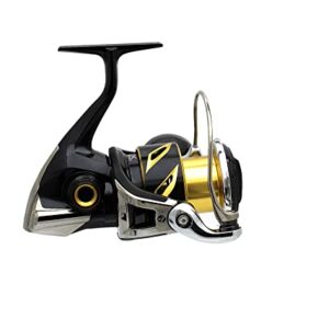 SHIMANO Stella SW C 5000 HG - Haftsystem für den Angelgarten, hochwertige Konstruktion und leichtes Gewicht