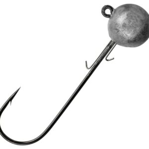 Hochwertige Meereshaken Jigköpfe Spro Jighead HD für das Meeresangeln, Größe 8/0, Gewicht 100g, Packungsinhalt 2 Stück.