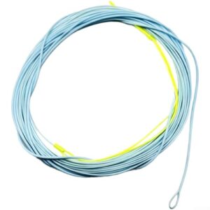Tenkara Fliegenfischschnur, PVC, konisch, 3,5 m lang, mit geschweißten Schlaufen an beiden Enden, für Power-Casting und maximale Empfindlichkeit unter verschiedenen Bedingungen
