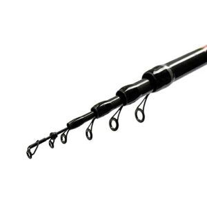 Bologneserute - Posenrute von FANATIK "LEXUS", 4m, 5m, 6m Teleskop-Ruten für verschiedene Fangmethoden