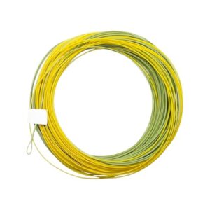 Hochwertige Fliegenfischerschnur für Saltwater- und Freshwater-Fischer mit bruchresistenter Verarbeitung und progressiver Verjüngung für anspruchsvolle Angelbedingungen geeignet.