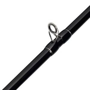 Mitchell Epic MX2 Seeforellenrute, M24 Carbon Blank, Progressive & reaktionsfreudige Aktion, Premium-Korkgriff, ideal für Regenbogen-, Bach- und Bachforellen in Seen und Teichen, 3,60 m, 10-25 g