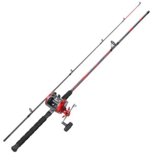 Zwei Angelruten in einem Satz mit einer Rundrolle, geeignet für Küsten- und Bootsangeln, Hochdichter Kohlefaser- und Glasfaser-Verbundblank, 3,8:1 Getriebeübersetzungsverhältnis