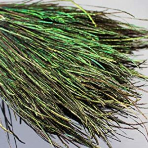 Viele natürliche Pfauenhähne, 10-20 cm lang und 1,5 g schwer, ideal für DIY Fliegenbinden