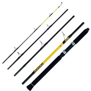 WFT Never Crack Heavy Spin Reiserute 5 Teile lang 100-400g Wurfgewicht 2,60 Meter Länge für Schwerfischen in Norwegen und Island geeignet
