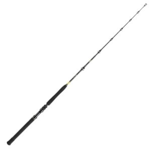 Angelrute Daiwa BG Big Game, Salzwasser, große Fische