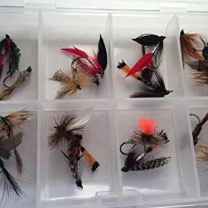 Set mit 20 verschiedenen Fliegern für das Fliegenfischen, ideal für Forellen und Döbel. Hochwertige Bindungen und Größe 38-40.