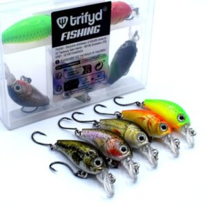 Trout Crankbait-Wobbler Set mit Köderbox für Anfänger, 5 Stück 4cm groß, farbig