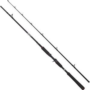 Abu Garcia Beast Pike 662HP, Jerkbait Casting-Rod, 1.98m lang, für Hechte und Zander geeignet