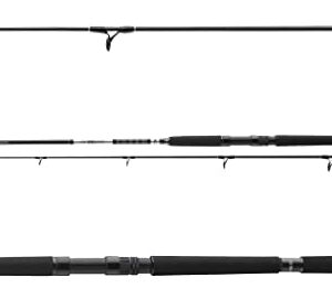 Hochwertige Pilkrute von Daiwa für die Verwendung in offenen Gewässern mit einer Länge von 2,10m und einem Gewicht von 40-125g