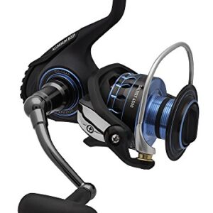 Fischereiausrüstung, Spinnrolle, Daiwa Saltist 5.3:1 Gear, 135,4 cm, 15 kg