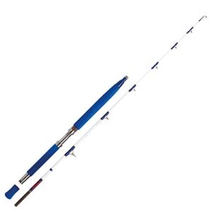 Angelrute für Meeresangeln, WFT Electra Speed JIG 2.00m 30lbs Pilkrute Bootstrute, hochwertige Angelrute mit Länge von 2.00m und Tragfähigkeit von 30lbs