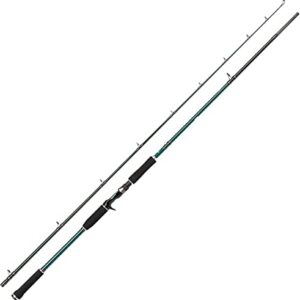 Fischfang Rute, Abu Garcia Beast X Spincasting Ruten, Schwarz/Rot, 2,59 m, 70-250g EU