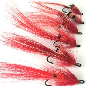 Angelfliegen, Fliegen für Lachse, Allys Shrimp, Doppelpack, 6 Stück, Rot, perfekt für Traumangriff