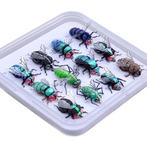 Fliegenfischenset mit verschiedenen Läusen und Fliegen in einer Plastikbox, perfekt für den Angler