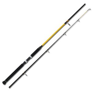Hochwertige Angelrute WFT Never Crack Big Fish 240 für großes Fischen mit Never Crack Technologie und breit gestaffelter Rutenserie