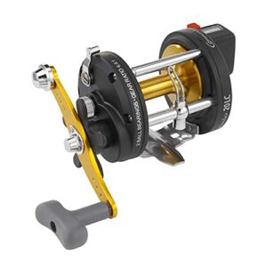 WFT Penn Commander 20 LC, hochwertiges Angelgerät mit Robustheit und Präzision, für alle Angler geeignet.