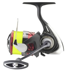 Hochwertige Angelrolle von Daiwa mit J-Braid X4-Schnürwerk, Frontbremse und Spinnrolle für professionellen Fischfang