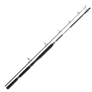 Hochwertige Sea Spinning Angelrute von DAIWA, ideal für den Einsatz im Meer, Länge 2,4 m, Gewicht 40-150 g.