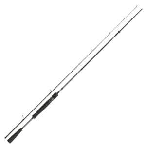 DAIWA Fuego Predator Spin Angelrute für Raubfische, 2,40 Meter lang, Gewichtsklasse 30-70 Gramm, zwei Teile, schnell und leise, ideal für Anfänger und Fortgeschrittene