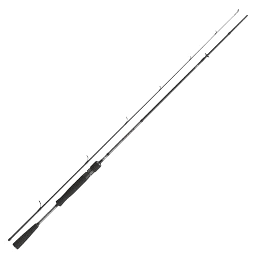 DAIWA Fuego Predator Spin Angelrute für Raubfische, 2,40 Meter lang, Gewichtsklasse 30-70 Gramm, zwei Teile, schnell und leise, ideal für Anfänger und Fortgeschrittene