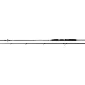 Hochwertige Angelrute Daiwa Seahunter X für Meer und See, Länge 2,70 Meter, Gewicht 185 Gramm, Rutenlänge 2,70 Meter, Wurfgewicht 30-60 Gramm, 8 Ringe, Schnell-Rutenaktion
