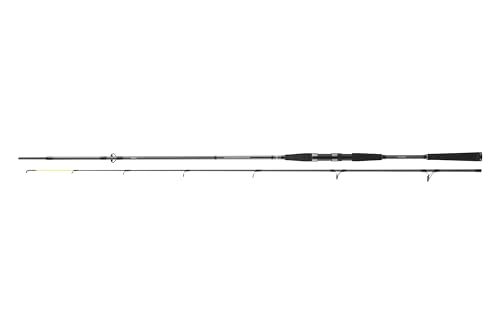 Hochwertige Angelrute Daiwa Seahunter X für Meer und See, Länge 2,70 Meter, Gewicht 185 Gramm, Rutenlänge 2,70 Meter, Wurfgewicht 30-60 Gramm, 8 Ringe, Schnell-Rutenaktion