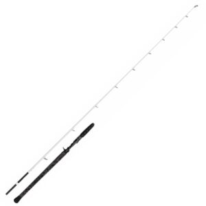 Fischereiausrüstung, Baitcaster Rute für Spinnangeln, Wallerrute mit 30TC Nano-Carbon-Blank und SeaGuide Ringen