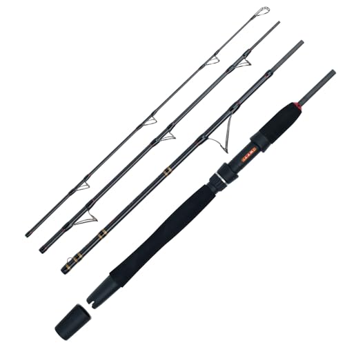 WFT Go North II 4-Stück Fischruten Set, wasserdicht, für verschiedene Gewichtsintervalle geeignet