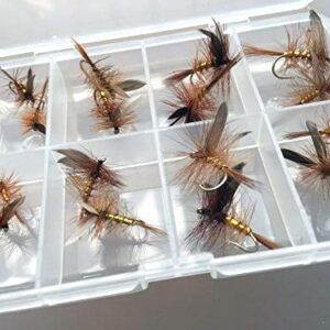 Wickham Fancy Forellenangeln-Zubehör, Trockenfliegen-Set mit 16 Fliegen und Clip-Verschluss-Box für sichere Lagerung