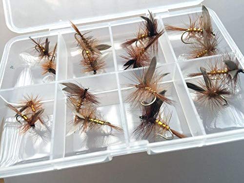 Wickham Fancy Forellenangeln-Zubehör, Trockenfliegen-Set mit 16 Fliegen und Clip-Verschluss-Box für sichere Lagerung