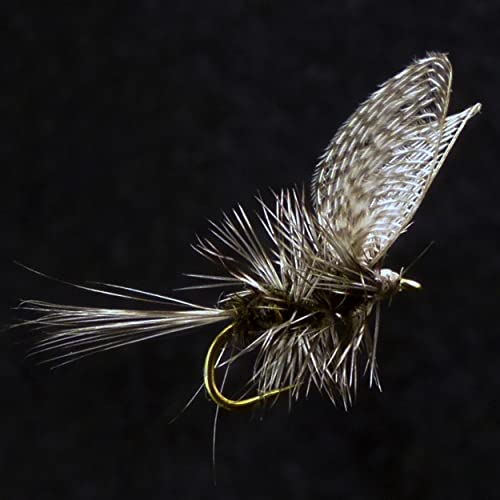 Flyfishing-Set mit Dry Fly, Wet Fly und Nymph von YAZHIDA, ideal für Fliegenfischen in verschiedenen Wasserzonen, enthält Mini Fly Box