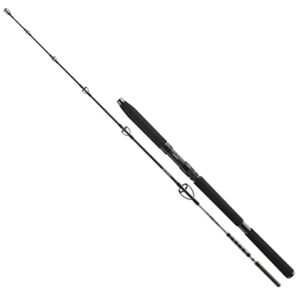 Hochwertige Angelrute für den Profi-Fischer von Daiwa, 2,1 m lang und 150-400 g schwer