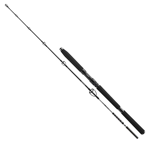 Hochwertige Angelrute für den Profi-Fischer von Daiwa, 2,1 m lang und 150-400 g schwer