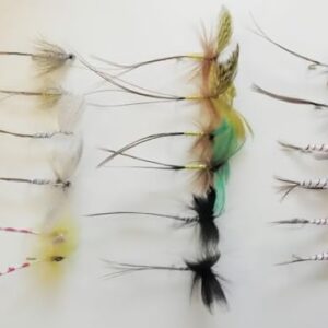 Bild von 18 Stück Maifliegen, einschließlich Rebhuhn, Drachen, Spent, Mayfly Nymphen, Größe 10, Forellenfliegen. Hochwertige Fliegen für den Fischfang in verschiedenen Farben.