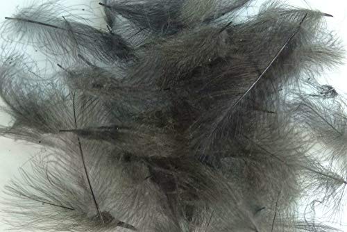 Pechetruite 1 g - CDC Federn, dunkelgrau getönt, für Angelfliegenmontage