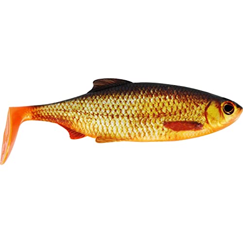 Westin 14cm Gummifisch Ricky the Roach Shadtail, Farbe: Real Rudd, für Aktivangeln auf Raubfische geeignet