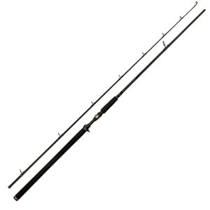 Westin W3 Powercast-T 2ND XXH Fischingrute, Baitcaster-Rute für Hecht und Wobbler