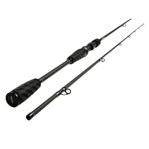DLT Vivid Casting Angelrute, 2,40 m lang, 10-60 g schwer, Baitcaster für moderne Angeln vom Dach