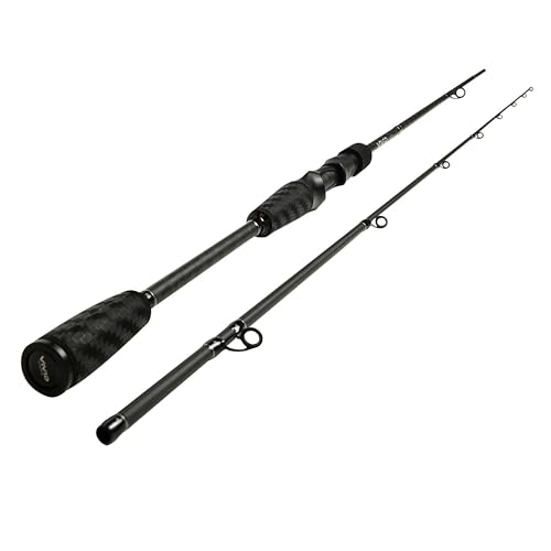 DLT Vivid Casting Angelrute, 2,40 m lang, 10-60 g schwer, Baitcaster für moderne Angeln vom Dach