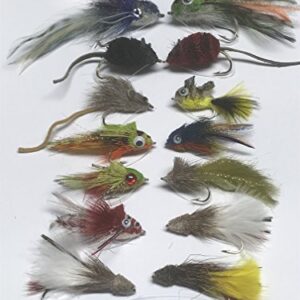 Umfangreiches Hecht- und Bassfliegen Set mit 16 hochwertigen Fliegen in verschiedenen Größen und Formen, sowie einer praktischen Fliegenbox für sicheres Aufbewahren.