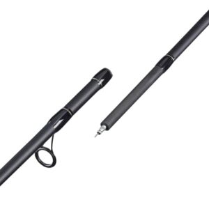 Balzer Aaligator Angelrute Medium-Heavy 3,00m mit 50-100g Wurfgewicht