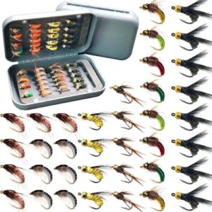 Künstliche Fliegenfischen Köder mit trockenen/nassen Fliegen, Streamer/Würmer/Motte/Nymphen Forelle Angeln
