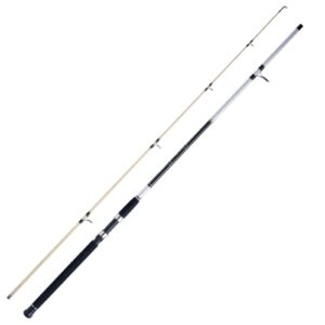 Angelrute zum Aalangeln, Steckrute zum Angeln auf Aal, WFT Loom Aal Spezial 40-90g 2,70m Glow Tip