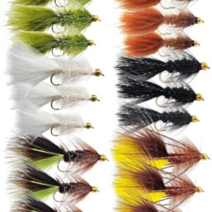 Sortiment von 18 Woolly Bugger Fliegen für das Forellenfliegenfischen in verschiedenen Farben und Größen
