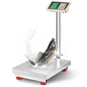 Bonvoisin Digitale Plattformwaage Industrie 300kg/0.1kg mit Edelstahl-Wägefläche (52x42cm), KG/LB-Umschaltung, Netz-/Batteriebetrieb, Wasserdichte Bodenwaage zum Wiegen von Paketen, Koffern, Kartons