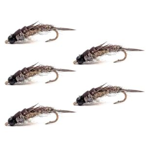 Hoite 5 Stück Fliegenfischhaken Nymph Stonefly Köder für Forelle, Bass und Äsche aus Legierung Stahl, ideal für Süß- und Salzwasser