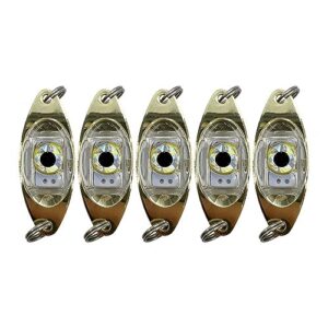 5-teiliges LED Angelköder Licht Set, Tiefes Tropfen Angellicht, Angellöffel Diamantlichter Schleppköder Unterwasser Angeln Blinklicht für Salzwasser und Süßwasser