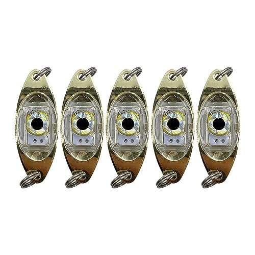 5-teiliges LED Angelköder Licht Set, Tiefes Tropfen Angellicht, Angellöffel Diamantlichter Schleppköder Unterwasser Angeln Blinklicht für Salzwasser und Süßwasser